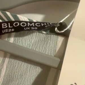 BloomChic Green and White Striped Dress